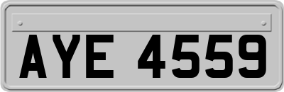 AYE4559