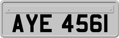 AYE4561