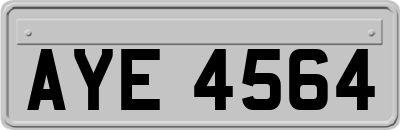 AYE4564