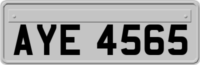 AYE4565
