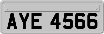 AYE4566