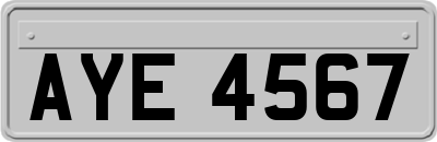 AYE4567