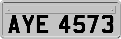 AYE4573