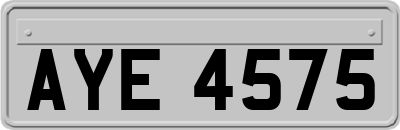 AYE4575
