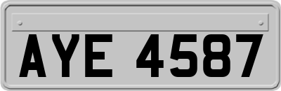 AYE4587