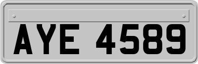 AYE4589