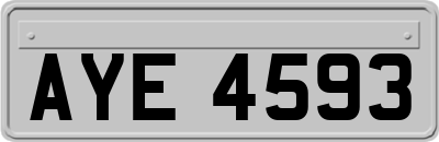 AYE4593