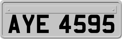 AYE4595