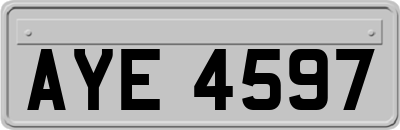 AYE4597