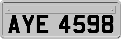 AYE4598