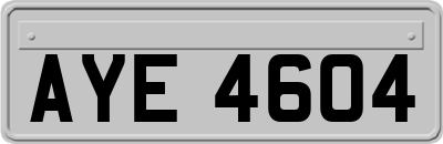 AYE4604