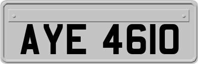 AYE4610