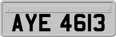 AYE4613