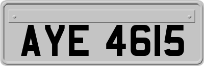 AYE4615