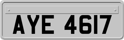 AYE4617