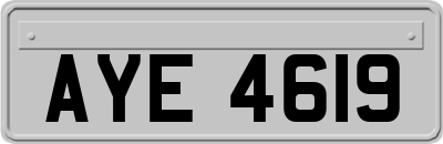 AYE4619