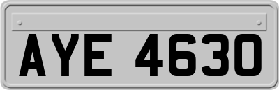 AYE4630