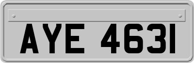 AYE4631