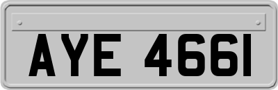 AYE4661