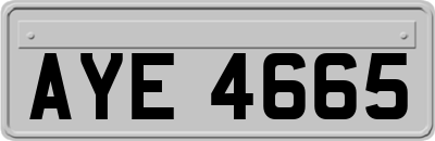 AYE4665