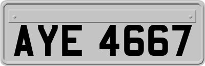 AYE4667