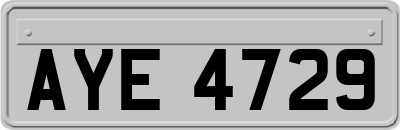 AYE4729