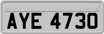 AYE4730