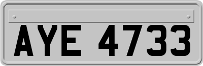 AYE4733