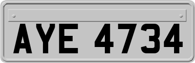 AYE4734