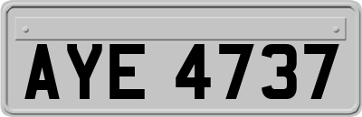 AYE4737