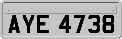 AYE4738