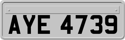 AYE4739