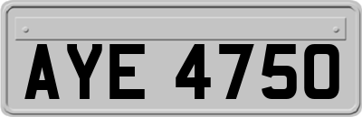 AYE4750