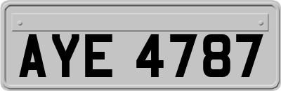 AYE4787