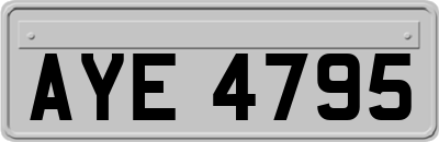 AYE4795