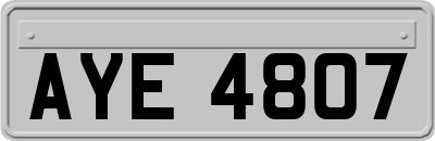 AYE4807