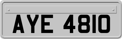 AYE4810