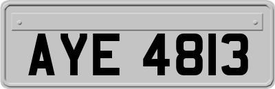 AYE4813