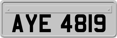 AYE4819