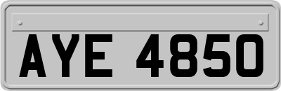 AYE4850