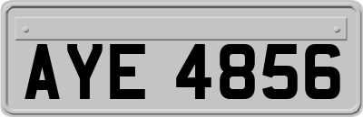 AYE4856