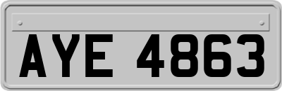 AYE4863