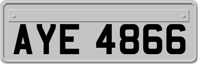 AYE4866