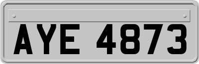 AYE4873