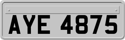 AYE4875