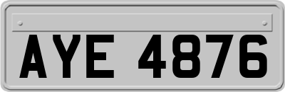 AYE4876