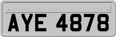 AYE4878