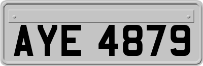 AYE4879