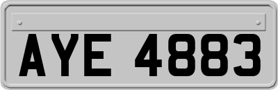 AYE4883