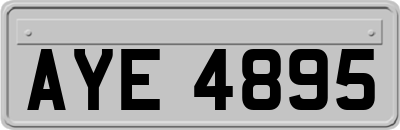 AYE4895